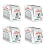 Royal Canin Veterinary Sensitivity Control Diätfutter Katze 4x12x85g