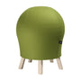 TOPSTAR SITNESS 5 Alpine Fitness-Hocker - Grün, 620mm. Hocker mit dynamischer Sitzfläche für aktives Sitzen, Rumpfkräftigung.
