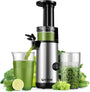 GDOR Kompakt Slow Juicer Entsafter - Leistungsstark, 600ml