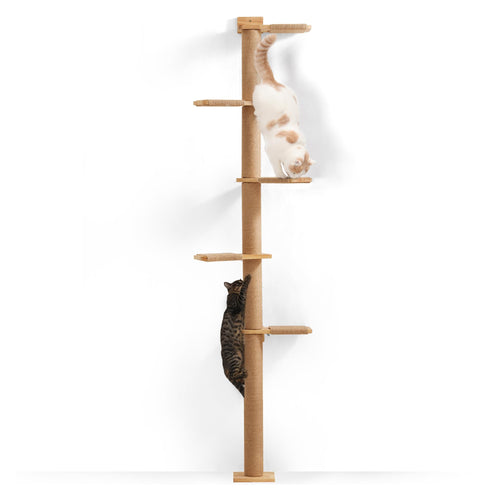 FUKUMARU Kratzbaum Deckenhoch Wandmontage – 206cm Gummibaumholz