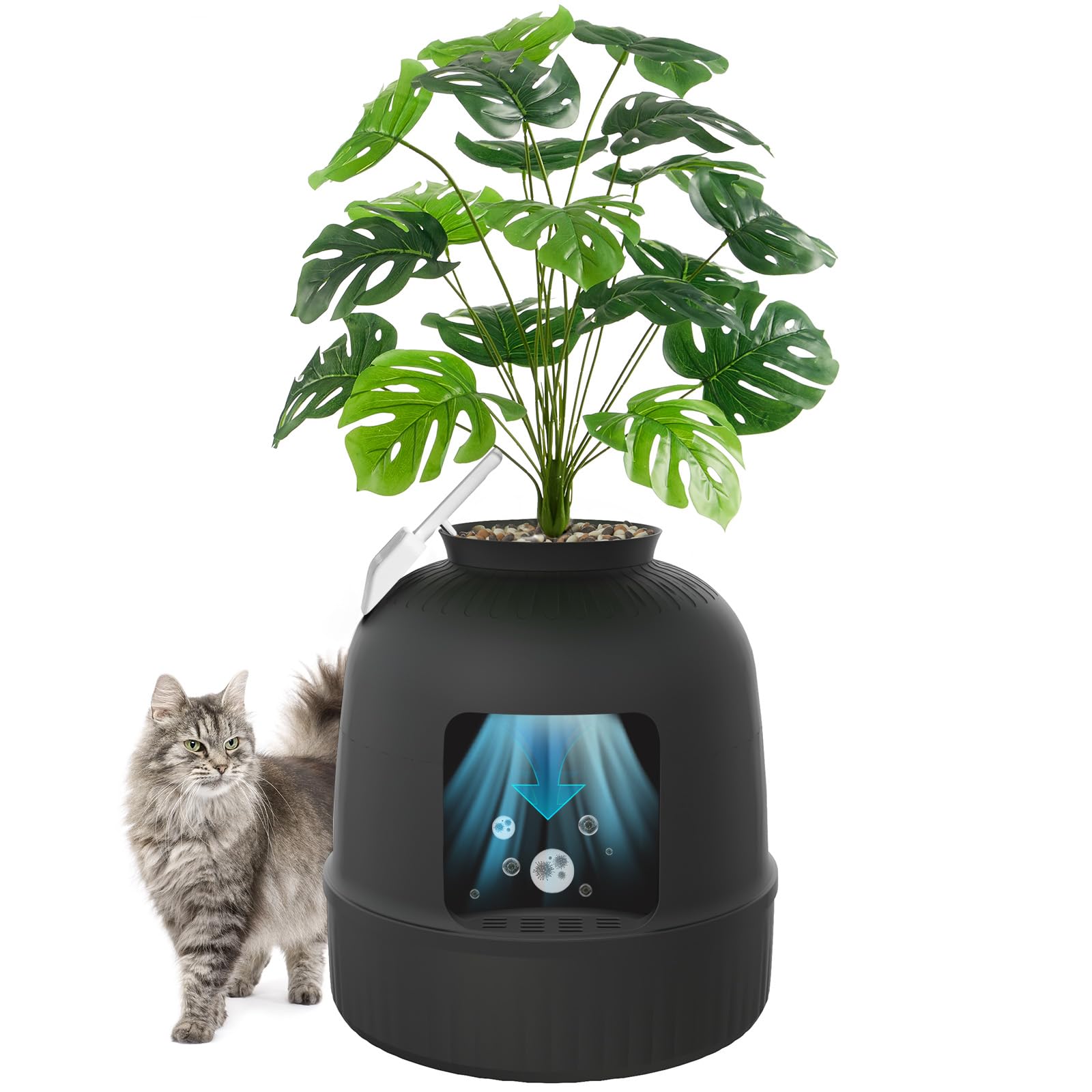 Katzentoilette im Blumentopf