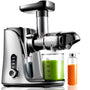 AMZCHEF Slow Juicer Entsafter mit 2 Geschwindigkeiten Grau