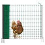 VOSS.farming Geflügelnetz Basic Hühnerzaun 50m x 112cm Grün, dient zum sicheren Einzäunen von Hühnern.