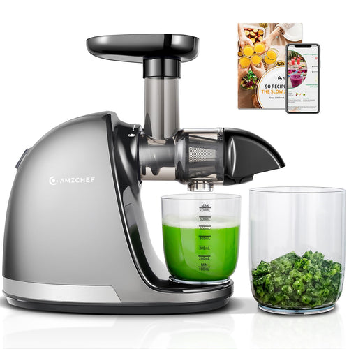 AMZCHEF Slow Juicer Entsafter für Gemüse & Obst - Silber