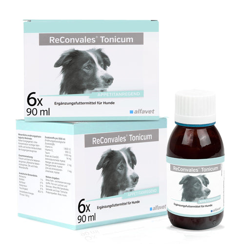 alfavet ReConvales Tonicum Hund - Doppelpack 2x6x90ml