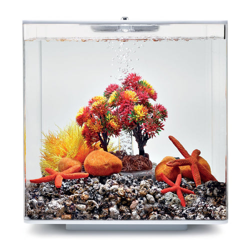 biOrb Decor Set 15L Herbst Aquarien-Deko-Set. Herbstfarbenes Set zur Gestaltung von 15L Aquarien.