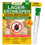 GREEN GUARDIA Lagererzwespen gegen Brotkäfer - 3 Röhrchen. Winzige, schwarze Wespen parasitieren Brotkäferlarven.