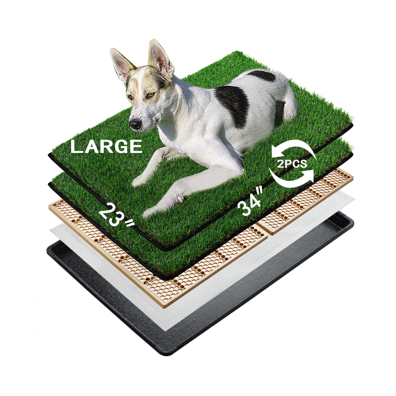 Hundetoilette für Welpen & Hunde