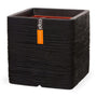 Capi Europe Rib NL Quadratischer Blumentopf - 50x50 Schwarz. Robuster Pflanzkübel zur dauerhaften Bepflanzung von Zierpflanzen.