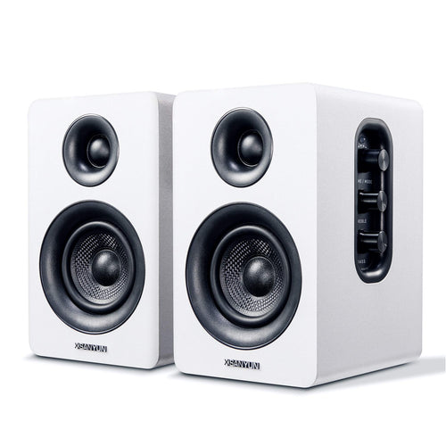 Sanyun SW208 Aktive Bluetooth Regallautsprecher – Weiss