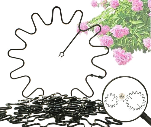 ARPON Staudenhalter einstellbare Pflanzenstütze rund Ø21.5cm – 50 Stk. Grüner, runder Ring. Hält hohe Stauden aufrecht.