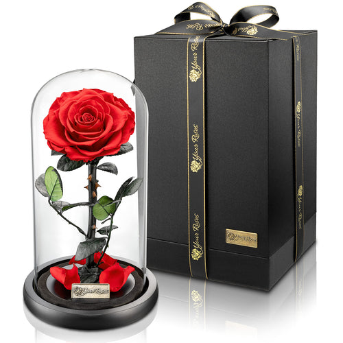 YourRoses® Echte Premium Rose im Glas mit Geschenkbox