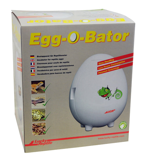 Lucky Reptile Egg-O-Bator – Inkubator für Reptilien-Eier. Kompakter Brutbehälter zur temperaturkontrollierten Ei-Inkubation.