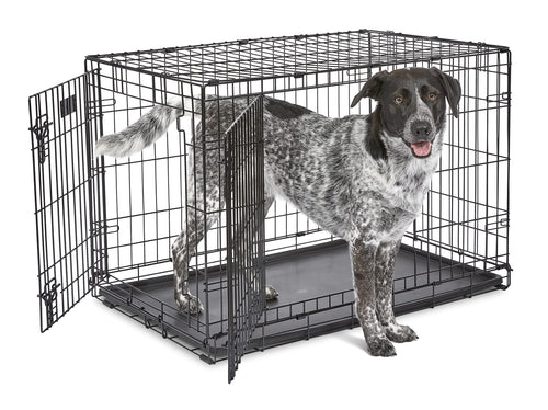 MidWest Homes for Pets iCrate 1536DDU Hundebox – Doppeltür Schwarz 90cm