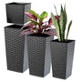 KADAX 3er Set Pflanzkübel mit Innentopf – Grafit Rattan H 57-75 cm. Grafitfarben, Rattan-Optik, mit Innentopf zum Pflanzen von Gewächsen.