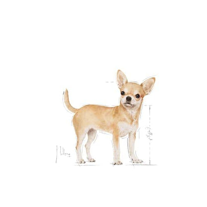 Royal Canin Chihuahua Adult Nassfutter - 4 x 12 x 85g Pack
