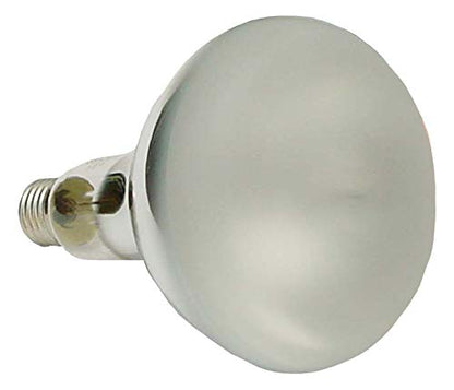 OSRAM P10650009 Ultra Vitalx Technical UV-Lampe - E27, 300W