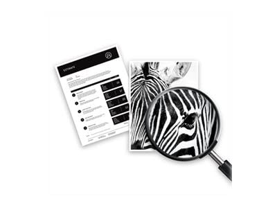 HP 301 Tri-Pack Tintenpatrone - Schwarz/Farbe Original
