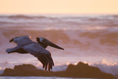 Canon EF 75-300mm F4.0-5.6 III Zoomobjektiv schwarz