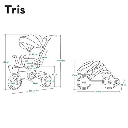 Lionelo Tris 2in1 Dreirad Buggy – Zusammenklappbar