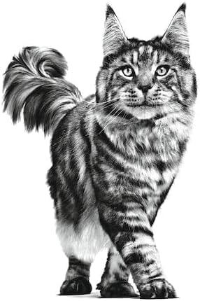 Royal Canin Veterinary Satiety Weight Management Nassfutter - Katze 4x12x85g