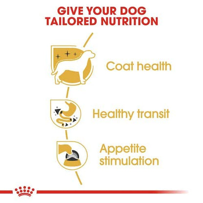 Royal Canin Chihuahua Adult Nassfutter - 4 x 12 x 85g Pack