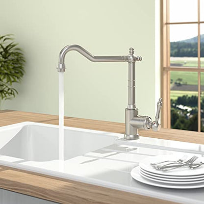 Villeroy & Boch Avia 2.0 Küchenarmatur Hochdruck Edelstahl