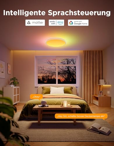 Govee Smart LED Deckenlampe RGBIC - Matter Ø38cm