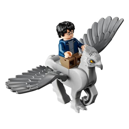 LEGO Harry Potter Hagrids Hütte - Seidenschnabels Rettung