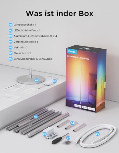 Govee RGBIC LED Ecklampe Matter Alexa Dimmbar - Silber