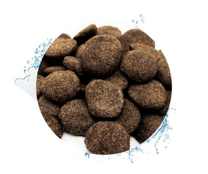 Warnick's Koifutter Sortenmix Spirulina 15kg 3-6mm mit Hanzam