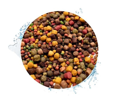 Warnick's Koifutter Sortenmix Spirulina 15kg 3-6mm mit Hanzam