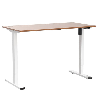 FlexiSpot Basic Höhenverstellbarer Schreibtisch – 120x60cm Ahorn