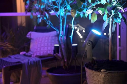Philips Hue Lily Gartenstrahler Basis Set 3er Pack Schwarz