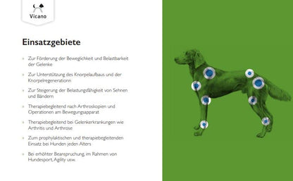 VetVital Viequo OrthoHyl HA Supreme – Gelenk-Ergänzung Hund 500 ml