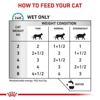 Royal Canin Veterinary Sensitivity Control Diätfutter Katze 4x12x85g