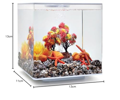 biOrb Decor Set 15L Herbst Aquarien-Deko-Set