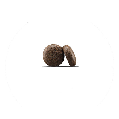 Josera Adult Duck & Potato Hundefutter 2 x 12,5 kg getreidefrei