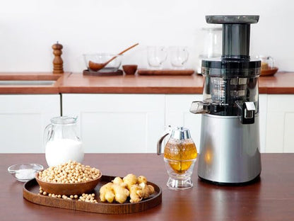 HUROM H-AA Slow Juicer Kaltpressentsafter – Dunkelsilber