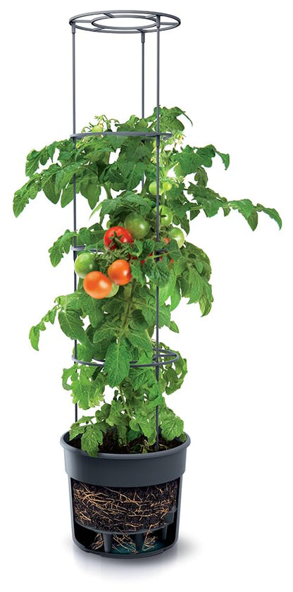 Tymar Tomatentopf mit Rankhilfe und Wasserspeicher, 5er-Set, 40 cm