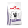Royal Canin Expert DENTAL Katzenfutter 3 kg für ausgewachsene Katzen, Trockenfutter in Krokettenform