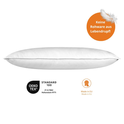 sleepling Daunenkissen 80x80 cm 2er Set mit Baumwollbezug