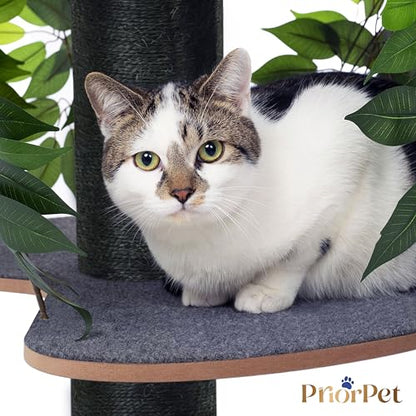 Kratzbaum Natur Patentierter Cat Tree – Gross, Blätter austauschbar