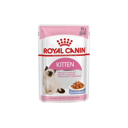 Royal Canin Kitten Nassfutter in Gelee, Doppelpack 2 x 12 x 85 g