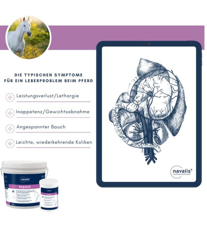 navalis heparal Pferde Leber Pellets Diät-Ergänzung 1 kg