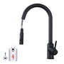 CECIPA Küchenarmatur Niederdruck Schwarz – Ausziehbarer Bogen