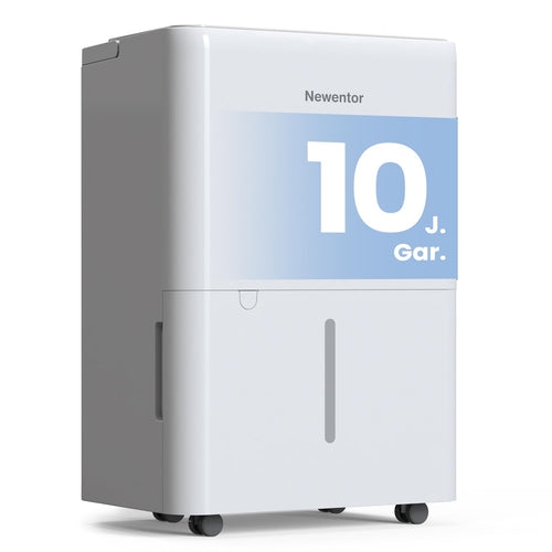 Newentor Luftentfeuchter elektrisch 12L für Raum & Keller