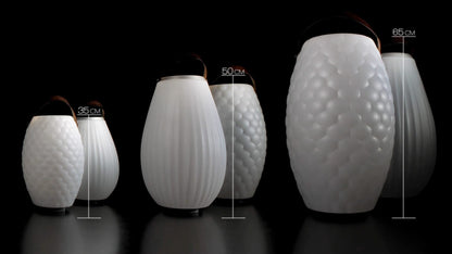 The JOOULY 50 Limited Bluetooth Lautsprecher Getränkekühler