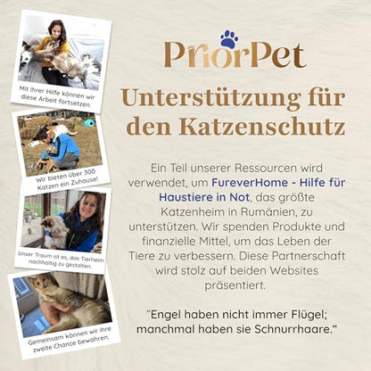 Kratzbaum Natur Patentierter Cat Tree – Gross, Blätter austauschbar
