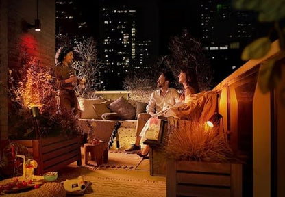 Philips Hue Lily Gartenstrahler Basis Set 3er Pack Schwarz